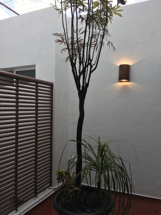 Residence Las Trojes Cdmx Мехико Экстерьер фото